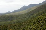 DSC09053