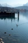 DSCF2047
