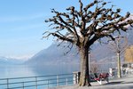 DSCF2058