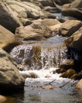 BRIDE'S POOL 10