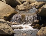 BRIDE'S POOL 11