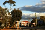 DSC09874