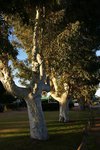 DSC09882