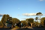 DSC09886