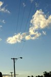 DSC09894