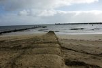 DSC07690