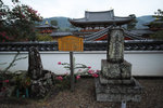 SDIM0202