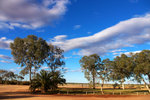 P1190359