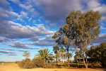 P1190397