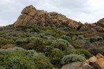 DSC07820