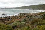 DSC07821
