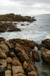 DSC07826