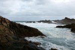 DSC07831