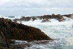DSC07832