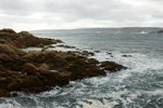 DSC07846