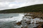 DSC07848