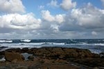 DSC08154