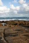 DSC08155