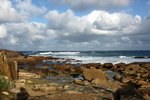 DSC08161