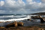 DSC08166