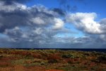 DSC08192