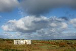 DSC08194