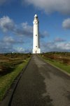 DSC08195