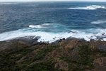 DSC08205