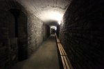 IMG_0142