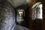 IMG_0150