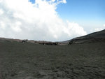 IMG_0442