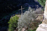 DSCF8052