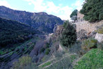 DSCF8075