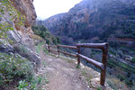DSCF8077