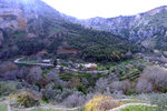 DSCF8079