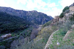 DSCF8081
