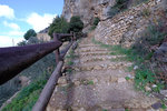 DSCF8084
