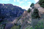 DSCF8085