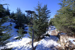 DSCF8116