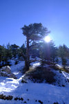 DSCF8121