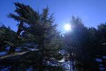 DSCF8123