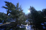 DSCF8124