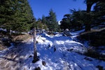 DSCF8125