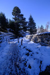 DSCF8126