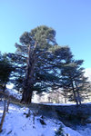 DSCF8130