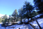 DSCF8133