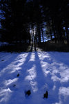 DSCF8134