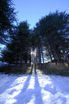 DSCF8135