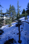 DSCF8136