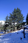 DSCF8137